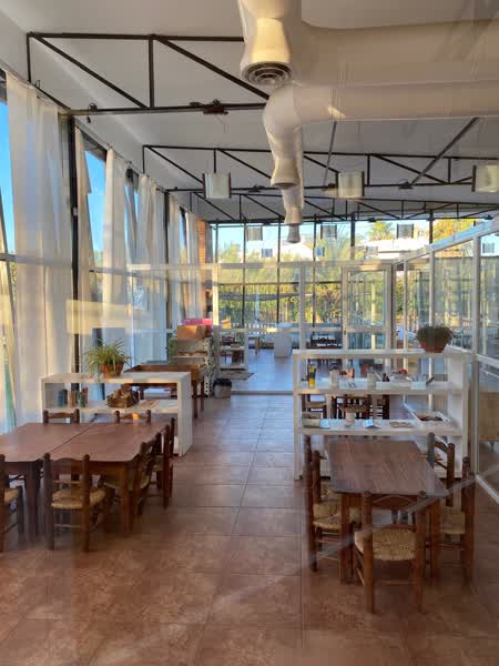 Comedor con mesitas y sillas de mimbre junto al ventanal
