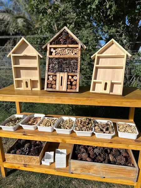 Hotel de insectos y bandejas con materiales naturales