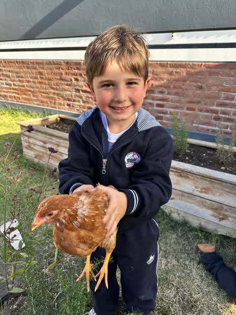 Un nene del jardín sosteniendo una gallina en el patio