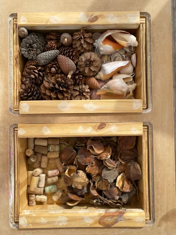 Cajón de madera con piñas, conchillas y elementos naturales para explorar